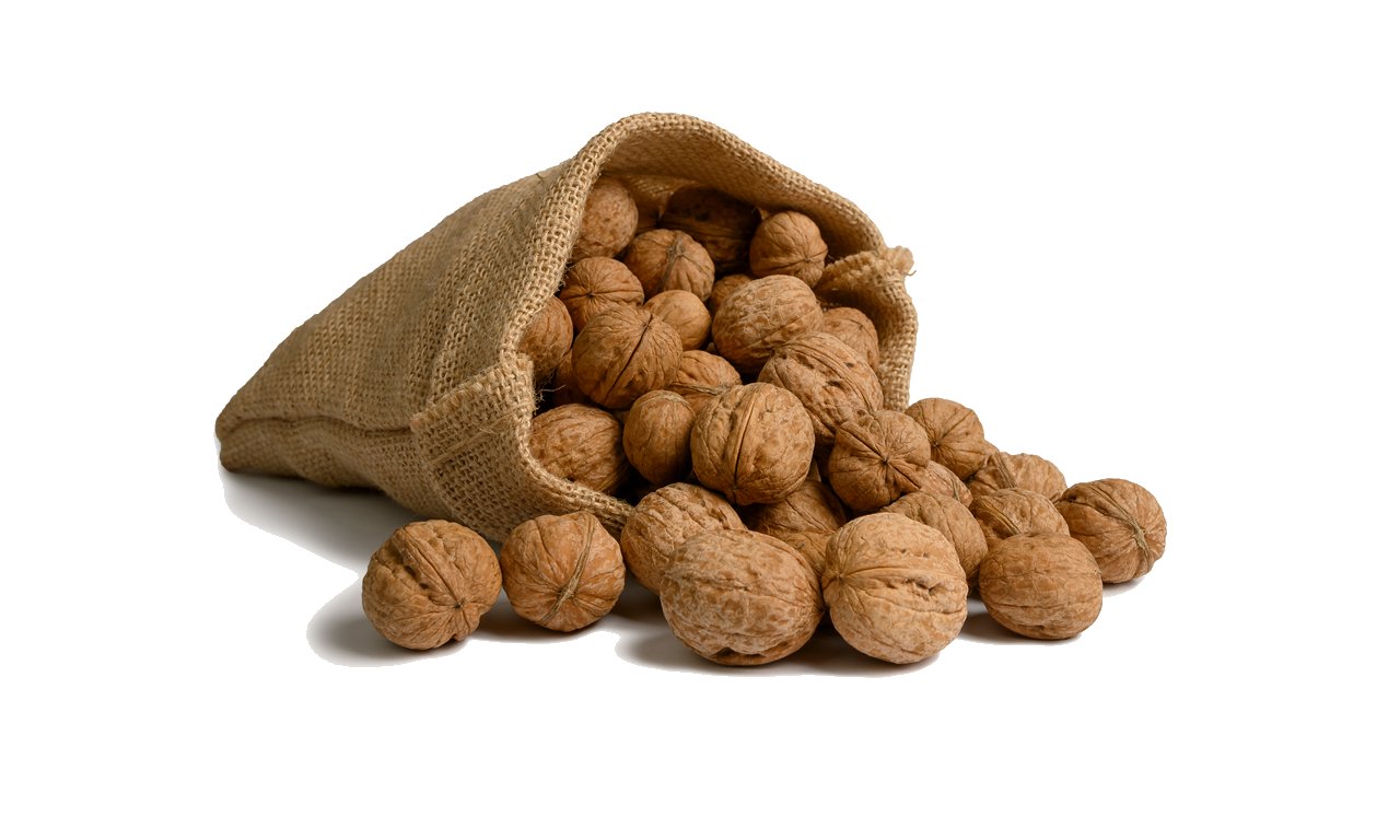 Nueces por mayor Das Nogueiras